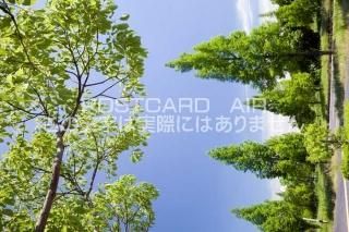 <img class='new_mark_img1' src='https://img.shop-pro.jp/img/new/icons1.gif' style='border:none;display:inline;margin:0px;padding:0px;width:auto;' /> ڷĮϩΥݥȥսϤϥPhotoby.com