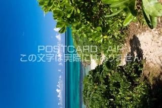 <img class='new_mark_img1' src='https://img.shop-pro.jp/img/new/icons1.gif' style='border:none;display:inline;margin:0px;padding:0px;width:auto;' />ڥݥȥAIRʡ۲츩 ܸԳؤ³ƻΥݥȥսϤϥPhotoby.com