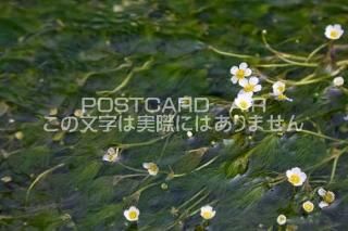 <img class='new_mark_img1' src='https://img.shop-pro.jp/img/new/icons1.gif' style='border:none;display:inline;margin:0px;padding:0px;width:auto;' />ʥݥȥAIRۼ츩 Ƹå߲ΥݥȥսϤϥPhotoby.com