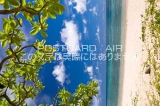 <img class='new_mark_img1' src='https://img.shop-pro.jp/img/new/icons1.gif' style='border:none;display:inline;margin:0px;padding:0px;width:auto;' />ʥݥȥAIR۲츩 ܸڱ鸫ӡΥݥȥսϤϥPhotoby.com