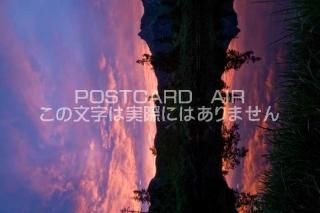 <img class='new_mark_img1' src='https://img.shop-pro.jp/img/new/icons1.gif' style='border:none;display:inline;margin:0px;padding:0px;width:auto;' />ܤʥݥȥɤAIR۴츩 ⻳ԶӤΥݥȥսϤϥPhotoby.com