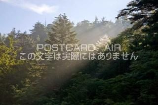 <img class='new_mark_img1' src='https://img.shop-pro.jp/img/new/icons1.gif' style='border:none;display:inline;margin:0px;padding:0px;width:auto;' />ܤʥݥȥɤAIRۻ ץīΥݥȥսϤϥPhotoby.com