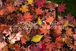 <img class='new_mark_img1' src='https://img.shop-pro.jp/img/new/icons1.gif' style='border:none;display:inline;margin:0px;padding:0px;width:auto;' />ܤʥݥȥɤAIR۷ܸ ɷĮդΥݥȥսϤϥPhotoby.com