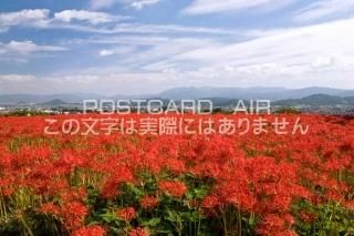 <img class='new_mark_img1' src='https://img.shop-pro.jp/img/new/icons1.gif' style='border:none;display:inline;margin:0px;padding:0px;width:auto;' />ܤʥݥȥɤAIRɸ ֺ߲餯ƻΥݥȥսϤϥPhotoby.com