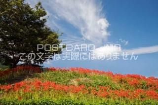 <img class='new_mark_img1' src='https://img.shop-pro.jp/img/new/icons1.gif' style='border:none;display:inline;margin:0px;padding:0px;width:auto;' />ܤʥݥȥɤAIRɸ ֺ߲餯֤ΥݥȥսϤϥPhotoby.com