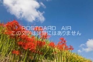 <img class='new_mark_img1' src='https://img.shop-pro.jp/img/new/icons1.gif' style='border:none;display:inline;margin:0px;padding:0px;width:auto;' />ܤʥݥȥɤAIRɸ Ķ߲֤ΥݥȥսϤϥPhotoby.com