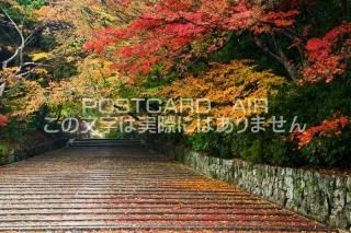 <img class='new_mark_img1' src='https://img.shop-pro.jp/img/new/icons1.gif' style='border:none;display:inline;margin:0px;padding:0px;width:auto;' />ܤʥݥȥɤAIR۵ ĹԸιդΥݥȥսϤϥPhotoby.com