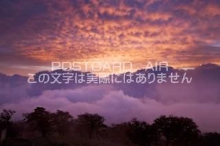 <img class='new_mark_img1' src='https://img.shop-pro.jp/img/new/icons1.gif' style='border:none;display:inline;margin:0px;padding:0px;width:auto;' />ܤʥݥȥɤAIRۻŸ ¿Į楱 Х٤īƤΥݥȥսϤϥPhotoby.com