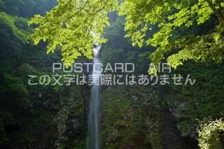 <img class='new_mark_img1' src='https://img.shop-pro.jp/img/new/icons1.gif' style='border:none;display:inline;margin:0px;padding:0px;width:auto;' />ܤʥݥȥɤAIR۴츩 ԰˥ȿФΥݥȥսϤϥPhotoby.com