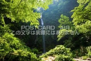 <img class='new_mark_img1' src='https://img.shop-pro.jp/img/new/icons1.gif' style='border:none;display:inline;margin:0px;padding:0px;width:auto;' />ܤʥݥȥɤAIR۴츩 ԿФΰ˥ΥݥȥսϤϥPhotoby.com