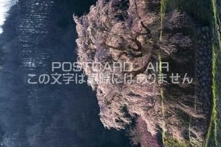 <img class='new_mark_img1' src='https://img.shop-pro.jp/img/new/icons1.gif' style='border:none;display:inline;margin:0px;padding:0px;width:auto;' />ܤʥݥȥɤAIRɸ ˻ʼҺΥݥȥսϤϥPhotoby.com