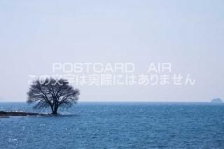 <img class='new_mark_img1' src='https://img.shop-pro.jp/img/new/icons1.gif' style='border:none;display:inline;margin:0px;padding:0px;width:auto;' />ܤʥݥȥɤAIRۼ츩 Ƹ԰ܤڤʸФΥݥȥսϤϥPhotoby.com