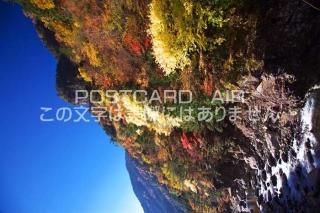 <img class='new_mark_img1' src='https://img.shop-pro.jp/img/new/icons1.gif' style='border:none;display:inline;margin:0px;padding:0px;width:auto;' />ܤʥݥȥɤAIRɸ ŷ¼ߤ餤ëιդΥݥȥսϤϥPhotoby.com