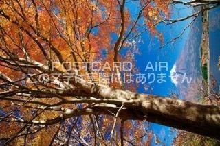 <img class='new_mark_img1' src='https://img.shop-pro.jp/img/new/icons1.gif' style='border:none;display:inline;margin:0px;padding:0px;width:auto;' />ܤʥݥȥɤAIRŲ ٻεܻԡٻλȹդΥݥȥսϤϥPhotoby.com