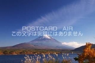 <img class='new_mark_img1' src='https://img.shop-pro.jp/img/new/icons1.gif' style='border:none;display:inline;margin:0px;padding:0px;width:auto;' />ܤʥݥȥɤAIRۻ ෴ ȱĮٻλФΥݥȥսϤϥPhotoby.com