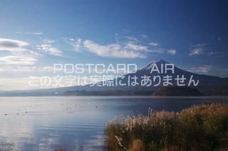 <img class='new_mark_img1' src='https://img.shop-pro.jp/img/new/icons1.gif' style='border:none;display:inline;margin:0px;padding:0px;width:auto;' />ܤʥݥȥɤAIRۻ α ٻβϸĮϸФٻλΥݥȥսϤϥPhotoby.com