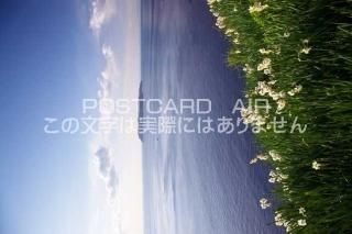 <img class='new_mark_img1' src='https://img.shop-pro.jp/img/new/icons1.gif' style='border:none;display:inline;margin:0px;padding:0px;width:auto;' />ܤʥݥȥɤAIRʼ˸ 露 綿ΥݥȥսϤϥPhotoby.com
