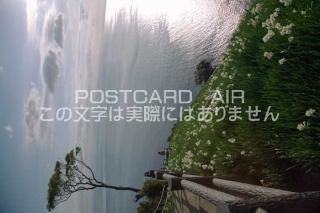 <img class='new_mark_img1' src='https://img.shop-pro.jp/img/new/icons1.gif' style='border:none;display:inline;margin:0px;padding:0px;width:auto;' />ܤʥݥȥɤAIRʼ˸ 露 綿ΥݥȥսϤϥPhotoby.com