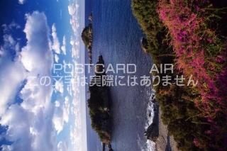 <img class='new_mark_img1' src='https://img.shop-pro.jp/img/new/icons1.gif' style='border:none;display:inline;margin:0px;padding:0px;width:auto;' />ܤʥݥȥɤAIR²λ Į̨ΥݥȥսϤϥPhotoby.com