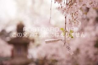 <img class='new_mark_img1' src='https://img.shop-pro.jp/img/new/icons1.gif' style='border:none;display:inline;margin:0px;padding:0px;width:auto;' />ܤʥݥȥɤAIRɸ ɻ ȤߤΥݥȥսϤϥPhotoby.com
