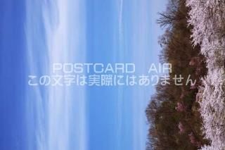 <img class='new_mark_img1' src='https://img.shop-pro.jp/img/new/icons1.gif' style='border:none;display:inline;margin:0px;padding:0px;width:auto;' />ܤʥݥȥɤAIR۵ ڷĮȶڱΥݥȥսϤϥPhotoby.com