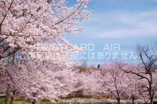 <img class='new_mark_img1' src='https://img.shop-pro.jp/img/new/icons1.gif' style='border:none;display:inline;margin:0px;padding:0px;width:auto;' />ܤʥݥȥɤAIR۵ ڷĮϤʵǰκΥݥȥսϤϥPhotoby.com