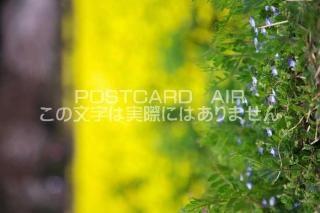 <img class='new_mark_img1' src='https://img.shop-pro.jp/img/new/icons1.gif' style='border:none;display:inline;margin:0px;padding:0px;width:auto;' />ܤʥݥȥɤAIR۵ ջ ̥ΥեΥݥȥսϤϥPhotoby.com
