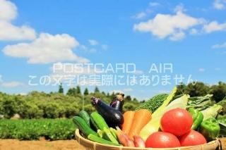 <img class='new_mark_img1' src='https://img.shop-pro.jp/img/new/icons1.gif' style='border:none;display:inline;margin:0px;padding:0px;width:auto;' />ڿΥݥȥɤAIRڡʥȥޥȡͻԡޥ󡦸ձѥʤɡˤȤΤϤϥս  /YOSHIO IWASAWA