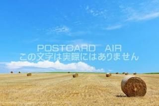 <img class='new_mark_img1' src='https://img.shop-pro.jp/img/new/icons1.gif' style='border:none;display:inline;margin:0px;padding:0px;width:auto;' />ܤʥݥȥAIR̳ƻƤͤΤϤϥս  /YOSHIO IWASAWA