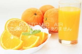 <img class='new_mark_img1' src='https://img.shop-pro.jp/img/new/icons1.gif' style='border:none;display:inline;margin:0px;padding:0px;width:auto;' />ڿΥݥȥAIRۥ󥸤ΤϤϥս  /YOSHIO IWASAWA