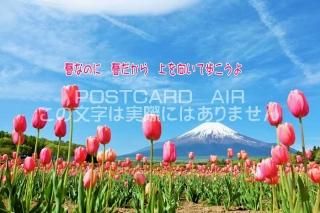 <img class='new_mark_img1' src='https://img.shop-pro.jp/img/new/icons1.gif' style='border:none;display:inline;margin:0px;padding:0px;width:auto;' />ڸդݥȥAIRֽۡդʤΤˡդ顡⤳ץ塼åפΤϤϥս  /YOSHIO IWASAWA