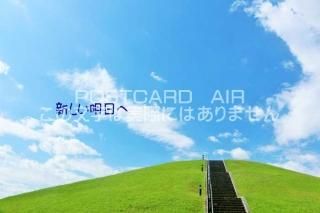 <img class='new_mark_img1' src='https://img.shop-pro.jp/img/new/icons1.gif' style='border:none;display:inline;margin:0px;padding:0px;width:auto;' />ڸդݥȥAIRֿۡءФε֤ΤϤϥս  /YOSHIO IWASAWA