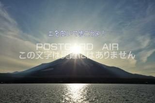 <img class='new_mark_img1' src='https://img.shop-pro.jp/img/new/icons1.gif' style='border:none;display:inline;margin:0px;padding:0px;width:auto;' />ڸդݥȥAIRۡ־⤳衪ץٻΤΤϤϥս  /YOSHIO IWASAWA