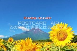 <img class='new_mark_img1' src='https://img.shop-pro.jp/img/new/icons1.gif' style='border:none;display:inline;margin:0px;padding:0px;width:auto;' />ڽ渫񤤥ݥȥAIRֽۡ椪񤤿夲ޤ׸ٻλΤϤϥս  /YOSHIO IWASAWA