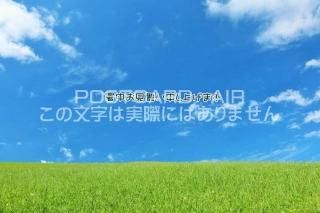 <img class='new_mark_img1' src='https://img.shop-pro.jp/img/new/icons1.gif' style='border:none;display:inline;margin:0px;padding:0px;width:auto;' />ڽ渫񤤥ݥȥAIRֽۡ椪񤤿夲ޤ𸶤ΤϤϥս  /YOSHIO IWASAWA