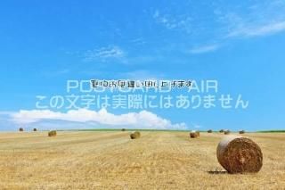 <img class='new_mark_img1' src='https://img.shop-pro.jp/img/new/icons1.gif' style='border:none;display:inline;margin:0px;padding:0px;width:auto;' />ڽ渫񤤥ݥȥAIRֽۡ椪񤤿夲ޤ̳ƻȪΤϤϥս  /YOSHIO IWASAWA