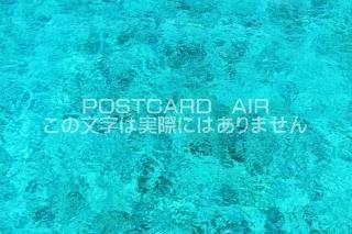 <img class='new_mark_img1' src='https://img.shop-pro.jp/img/new/icons1.gif' style='border:none;display:inline;margin:0px;padding:0px;width:auto;' />ܤΥݥȥAIR۲츩ܸĤΤϤϥս  /YOSHIO IWASAWA