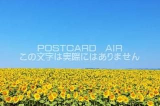 <img class='new_mark_img1' src='https://img.shop-pro.jp/img/new/icons1.gif' style='border:none;display:inline;margin:0px;padding:0px;width:auto;' />ܤΥݥȥAIR̳ƻʲƤΤҤޤȪΤϤϥս  /YOSHIO IWASAWA