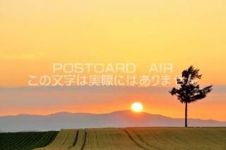 <img class='new_mark_img1' src='https://img.shop-pro.jp/img/new/icons1.gif' style='border:none;display:inline;margin:0px;padding:0px;width:auto;' />ܤΥݥȥAIR̳ƻإεͼΤϤϥս  /YOSHIO IWASAWA