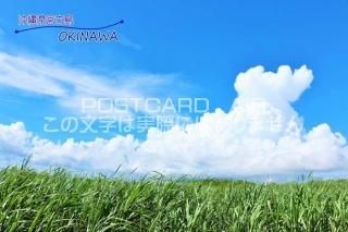 <img class='new_mark_img1' src='https://img.shop-pro.jp/img/new/icons1.gif' style='border:none;display:inline;margin:0px;padding:0px;width:auto;' />ܤΥݥȥAIRֲۡ츩ܸOKINAWAײ𸶤ΤϤϥս  /YOSHIO IWASAWA