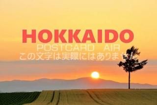 <img class='new_mark_img1' src='https://img.shop-pro.jp/img/new/icons1.gif' style='border:none;display:inline;margin:0px;padding:0px;width:auto;' />ܤΥݥȥAIRۡHOKKAIDO̳ƻͼƤΤϤϥս  /YOSHIO IWASAWA