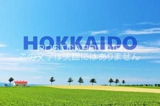 <img class='new_mark_img1' src='https://img.shop-pro.jp/img/new/icons1.gif' style='border:none;display:inline;margin:0px;padding:0px;width:auto;' />ܤΥݥȥAIRۡHOKKAIDO̳ƻ𸶤ΤϤϥս  /YOSHIO IWASAWA