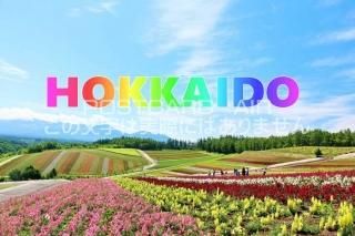 <img class='new_mark_img1' src='https://img.shop-pro.jp/img/new/icons1.gif' style='border:none;display:inline;margin:0px;padding:0px;width:auto;' />ܤΥݥȥAIRۡHOKKAIDO̳ƻβȪΤϤϥս  /YOSHIO IWASAWA