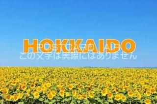<img class='new_mark_img1' src='https://img.shop-pro.jp/img/new/icons1.gif' style='border:none;display:inline;margin:0px;padding:0px;width:auto;' />ܤΥݥȥAIRۡHOKKAIDO̳ƻθʤΤϤϥս  /YOSHIO IWASAWA
