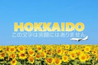 <img class='new_mark_img1' src='https://img.shop-pro.jp/img/new/icons1.gif' style='border:none;display:inline;margin:0px;padding:0px;width:auto;' />ܤΥݥȥAIRۡHOKKAIDO̳ƻθʤΤϤϥս  /YOSHIO IWASAWA