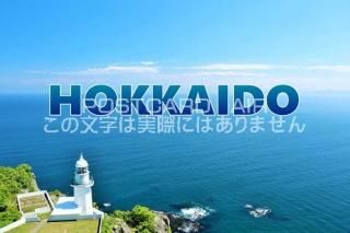 <img class='new_mark_img1' src='https://img.shop-pro.jp/img/new/icons1.gif' style='border:none;display:inline;margin:0px;padding:0px;width:auto;' />ܤΥݥȥAIRۡHOKKAIDO̳ƻʤΤϤϥս  /YOSHIO IWASAWA