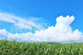 <img class='new_mark_img1' src='https://img.shop-pro.jp/img/new/icons1.gif' style='border:none;display:inline;margin:0px;padding:0px;width:auto;' />ܤΥݥȥAIR۲츩ܸ硡ĶȥȥȪΤϤϥս  /YOSHIO IWASAWA