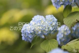 <img class='new_mark_img1' src='https://img.shop-pro.jp/img/new/icons1.gif' style='border:none;display:inline;margin:0px;padding:0px;width:auto;' />ܤʥݥȥAIRոήꤢ̤λ۲֤սϥϤ photo by MIRO