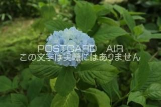 <img class='new_mark_img1' src='https://img.shop-pro.jp/img/new/icons1.gif' style='border:none;display:inline;margin:0px;padding:0px;width:auto;' />ܤʥݥȥAIRۺ̸Ʋλ۲֤Ŀ2020ǯսϥϤ photo by MIRO