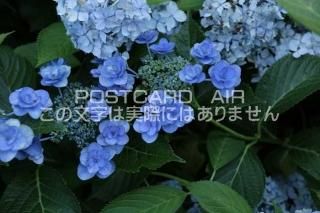 <img class='new_mark_img1' src='https://img.shop-pro.jp/img/new/icons1.gif' style='border:none;display:inline;margin:0px;padding:0px;width:auto;' />ܤʥݥȥAIRۺ̸Ʋλ۲֤2020ǯսϥϤ photo by MIRO